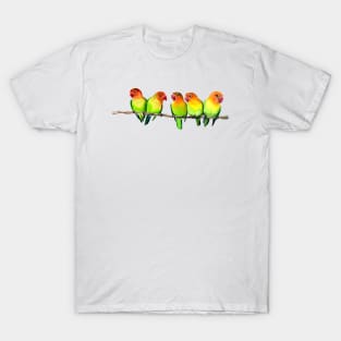 Love birds T-Shirt